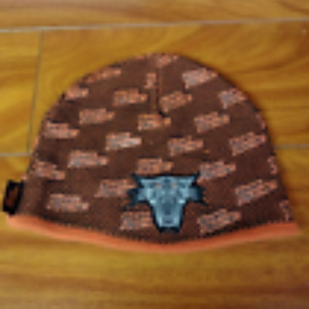 Youth Arcticwear by Arctic Cat Team Arctic Orange & Black Beanie